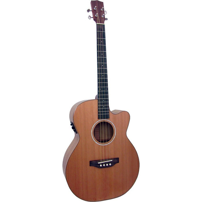 Ashbury Lindisfarne Tenor Guitar