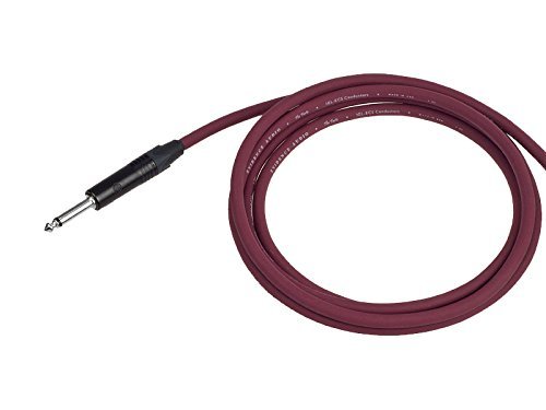 Evidence Audio 10ft/3.0m Forte Cable with Right to Straight 1/4 inch Phone Plugs